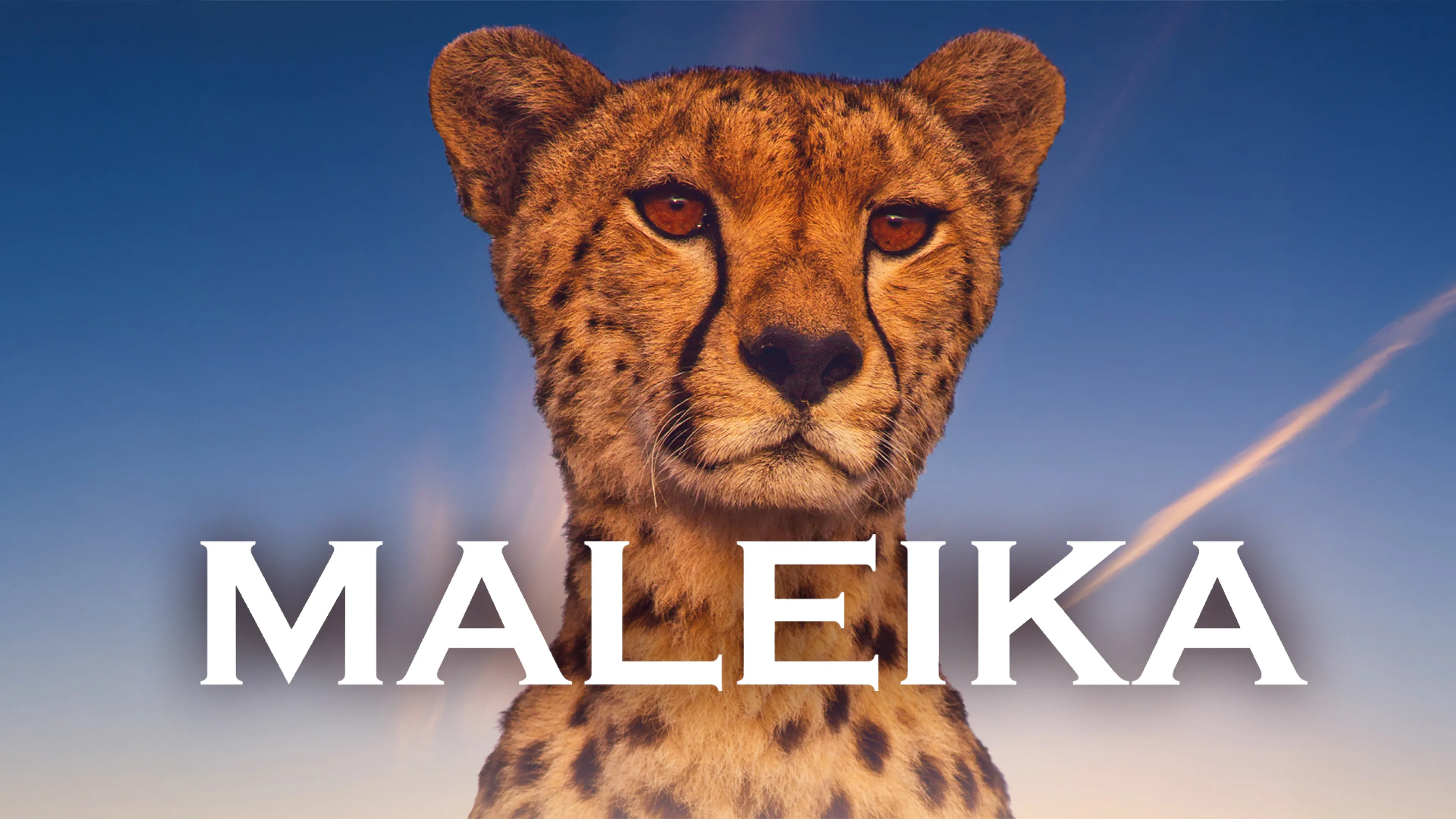Maleika poster